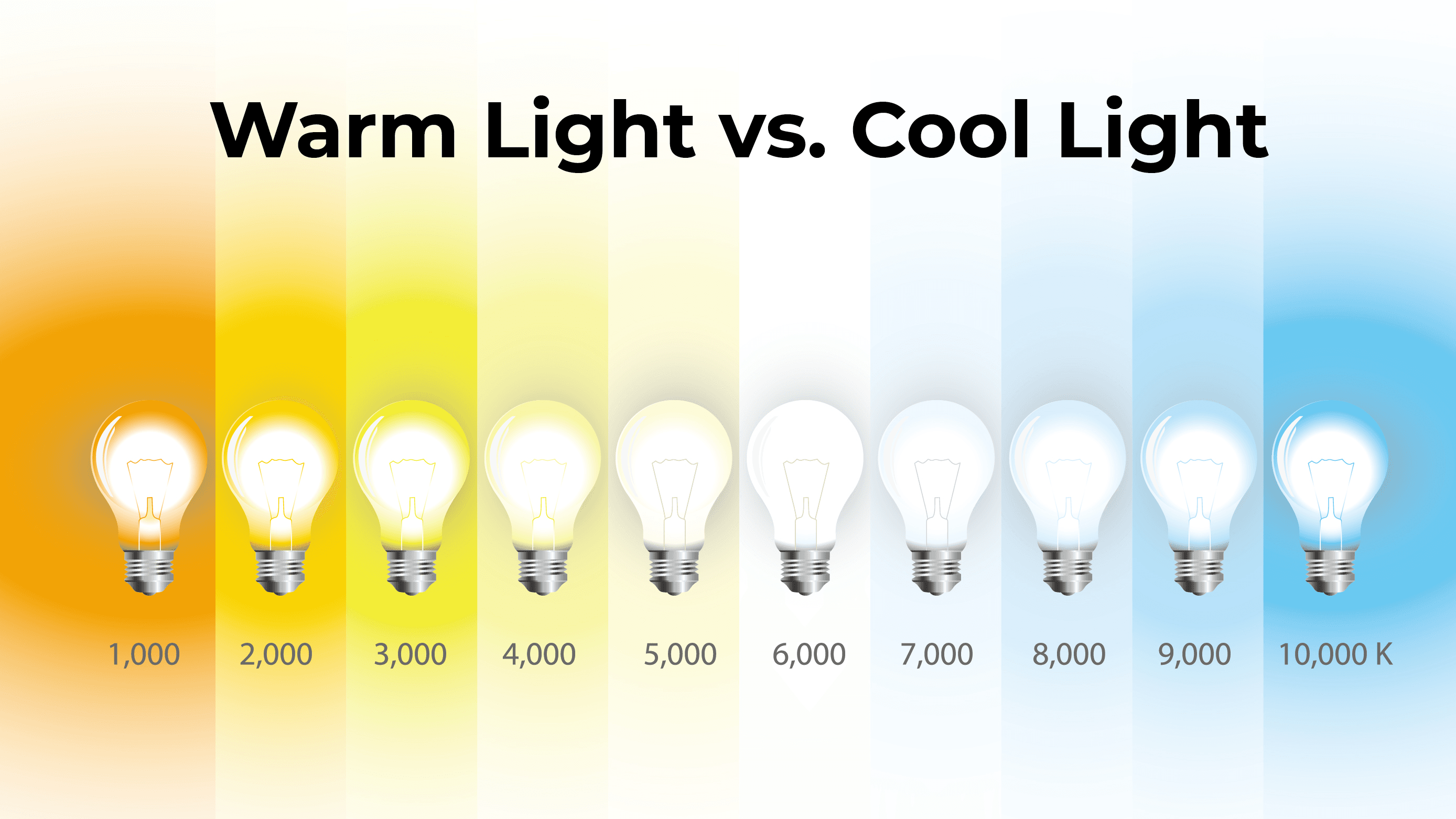 12 W Warm vs 24 W Cool Lights